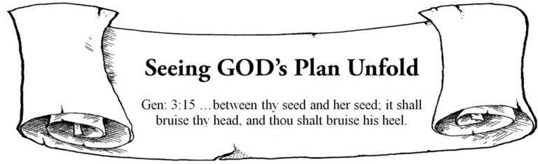 THE ULTIMATE REPLACEMENT